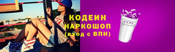 шишки Абаза