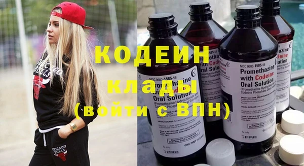 шишки Абаза
