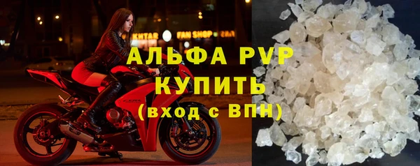 шишки Абаза