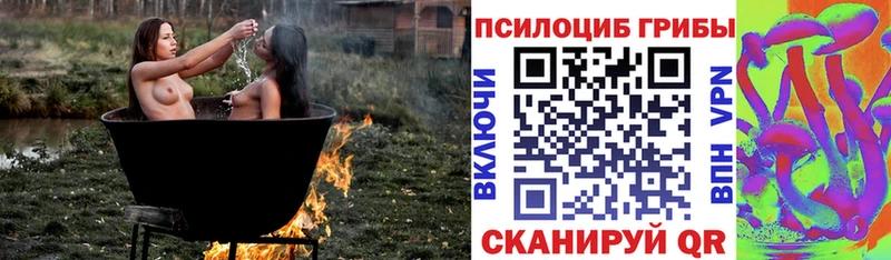 Псилоцибиновые грибы прущие грибы  наркотики  Чекалин 